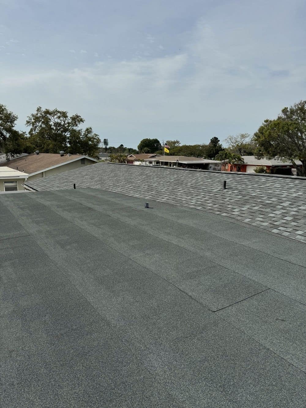 A low-slope roof section in a granulated cap sheet beside a gray shingle slope, with palms behind