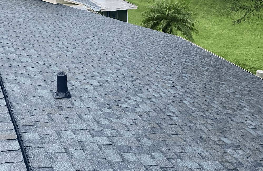 Gray shingle roof slope with a pipe boot, with palm trees and lawn below