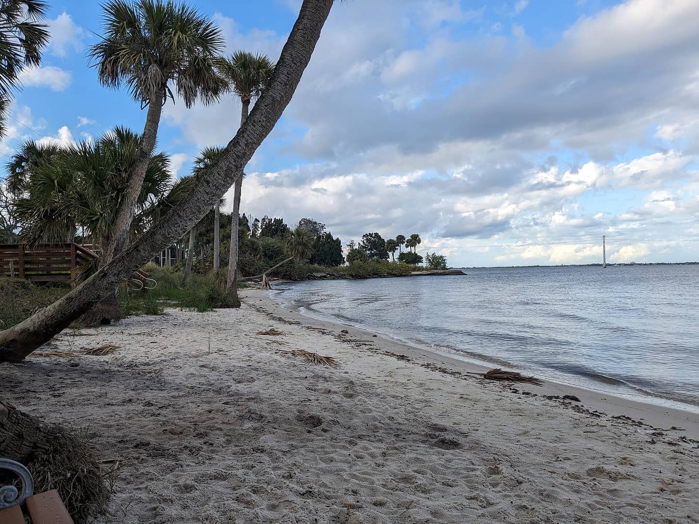 Sandy beach curving along blue water, with a leaning palm tree on the left and clouds overhead.