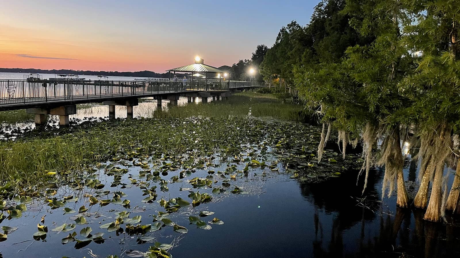 Wooden boardwalk over a lily-pad lake at sunset, with a lit gazebo and cypress trees on the right.