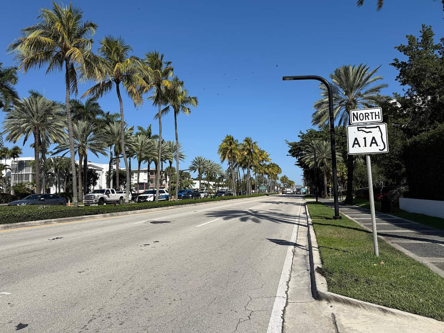 Palm-lined Collins Avenue roadway with a North A1A route sign and parked cars under a clear blue sky.