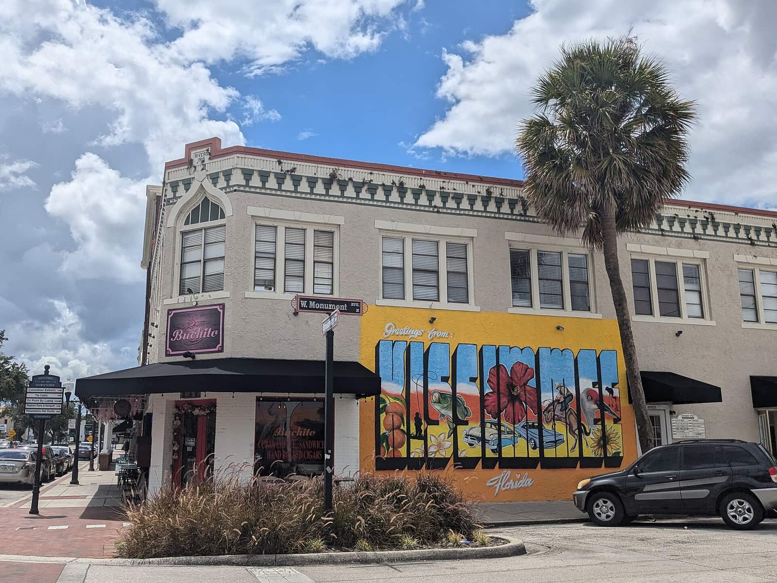 Corner building with a large colourful floral mural, a palm tree, and a parked car under blue sky.