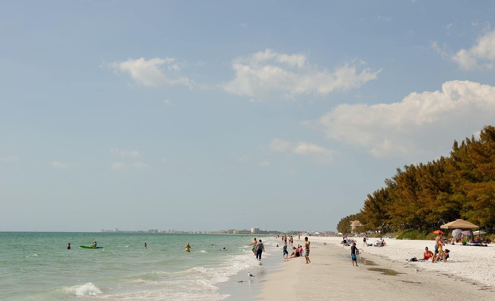 People wade and swim in turquoise shallows beside a sandy beach lined with pine trees and umbrellas.