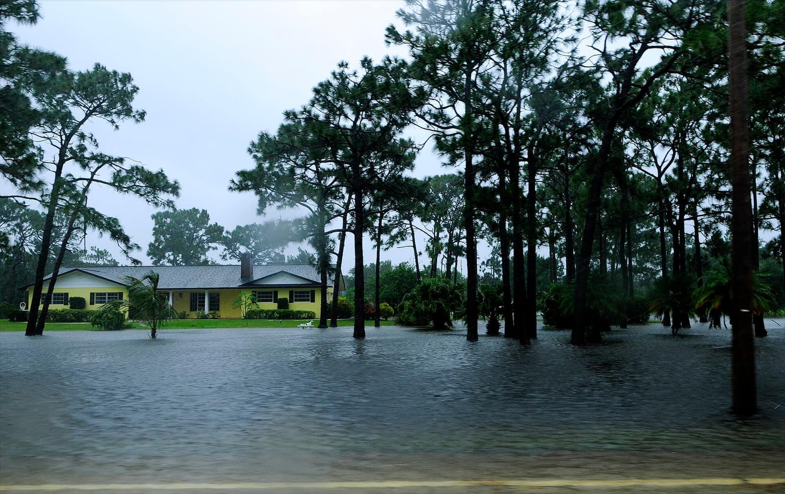 A single-story house sits amid standing floodwater with tall pines and palms under an overcast sky.