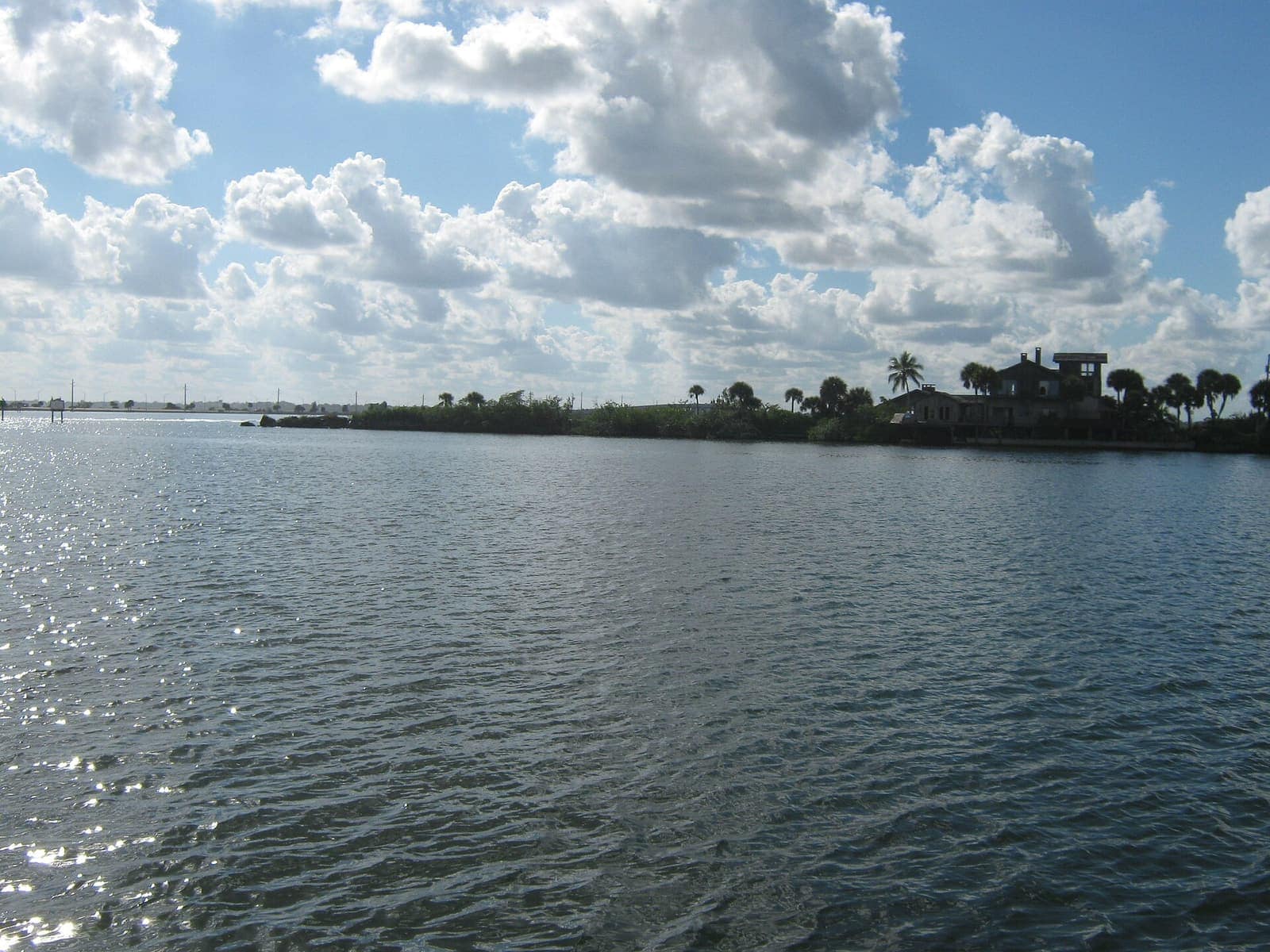 Calm sunlit water with a shoreline of palm trees and a small waterfront house under cumulus clouds.