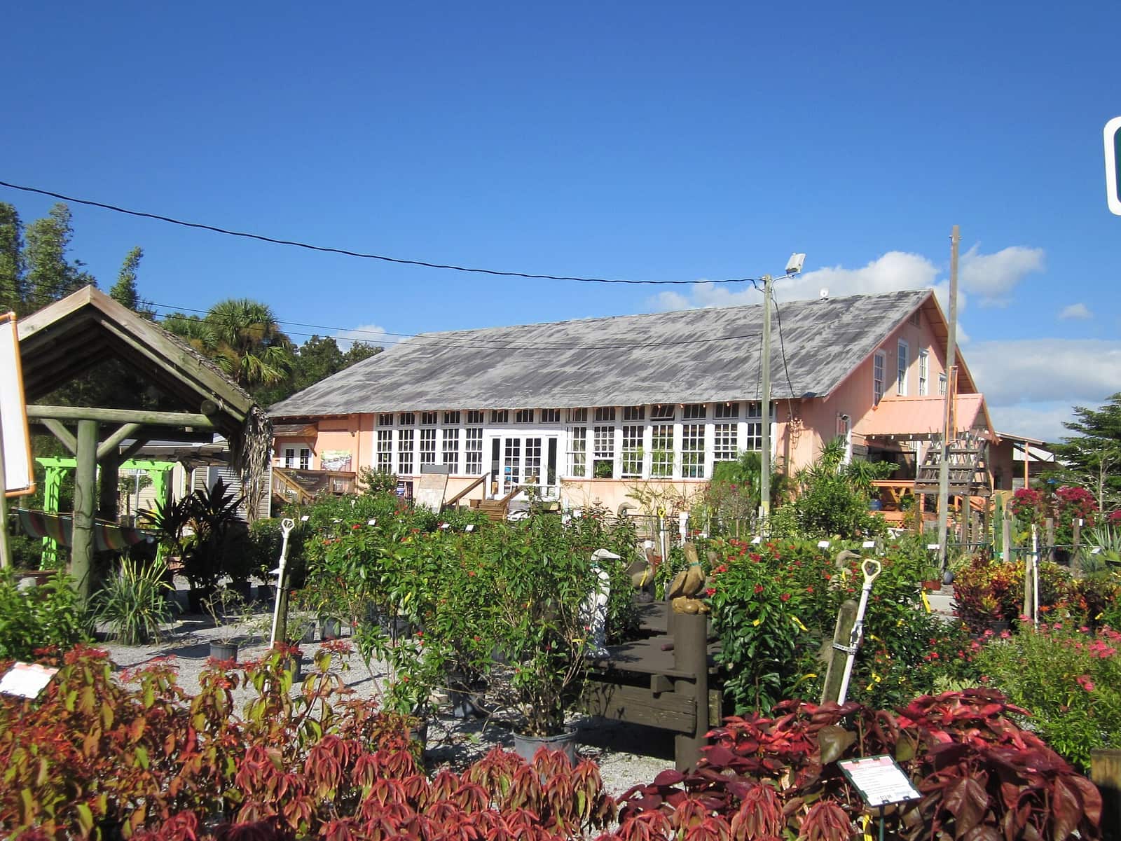 Peach nursery building with white windows behind colorful plant beds under a bright blue sky.