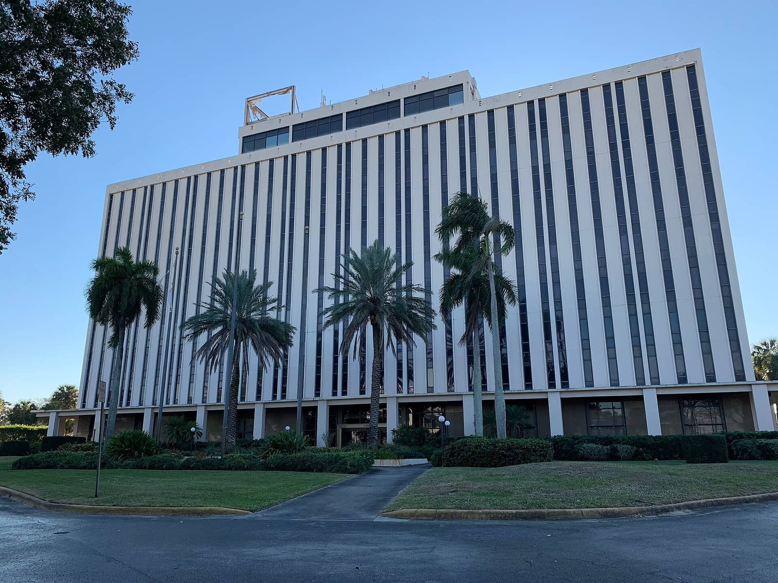 Tall white office tower with dark vertical stripes, palm trees and landscaped entrance under blue sky.