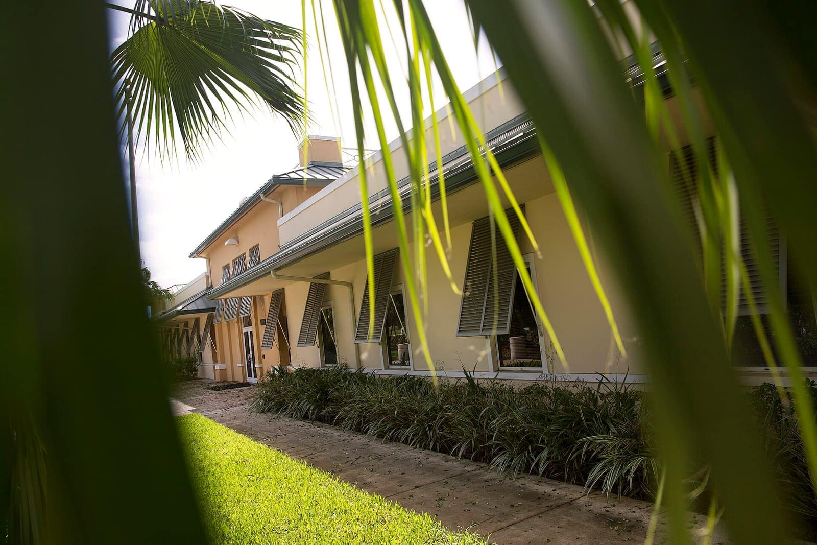 A cream-colored two-story office building with a sloped roof, framed by blurred palm fronds in the foreground.