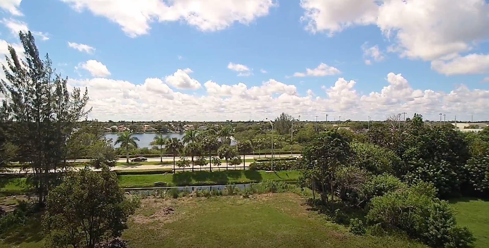 Green park with palm trees and a calm lake under a bright cloudy blue sky.