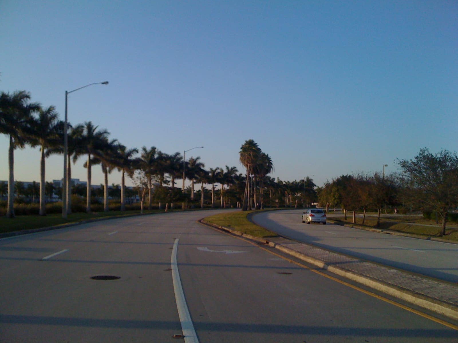 Palm-lined divided road with a single car and tall palm trees under a clear evening sky.