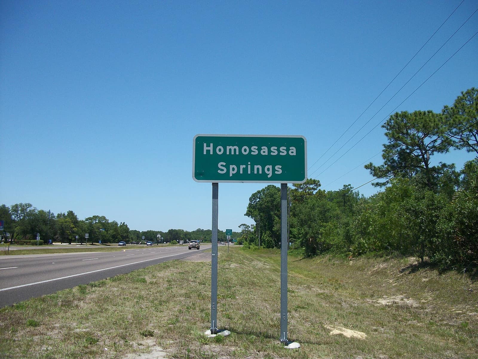 Green highway sign reading Homosassa Springs beside a multi-lane road under blue sky.