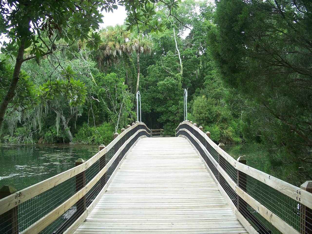 Wooden footbridge with mesh railings crossing a green forested waterway under overcast sky.