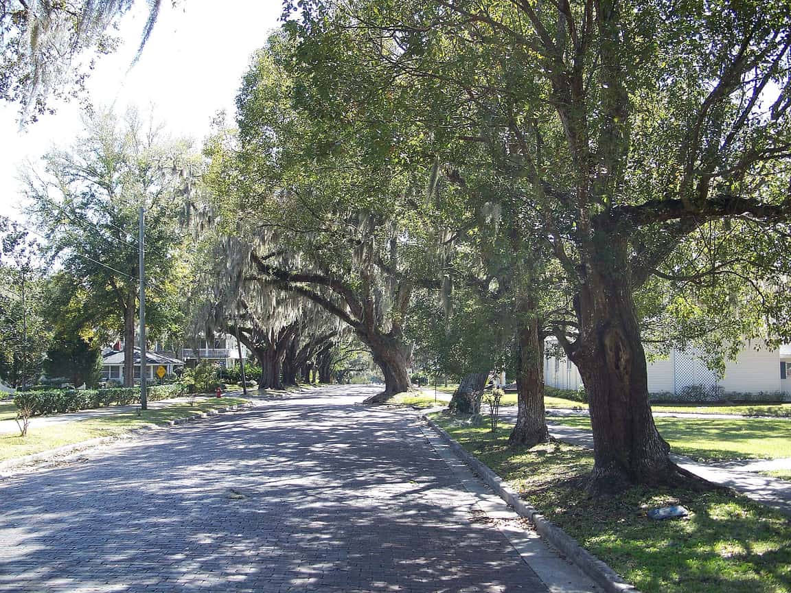 A tree-lined street runs under large oaks draped with Spanish moss beside historic houses on a sunny day.