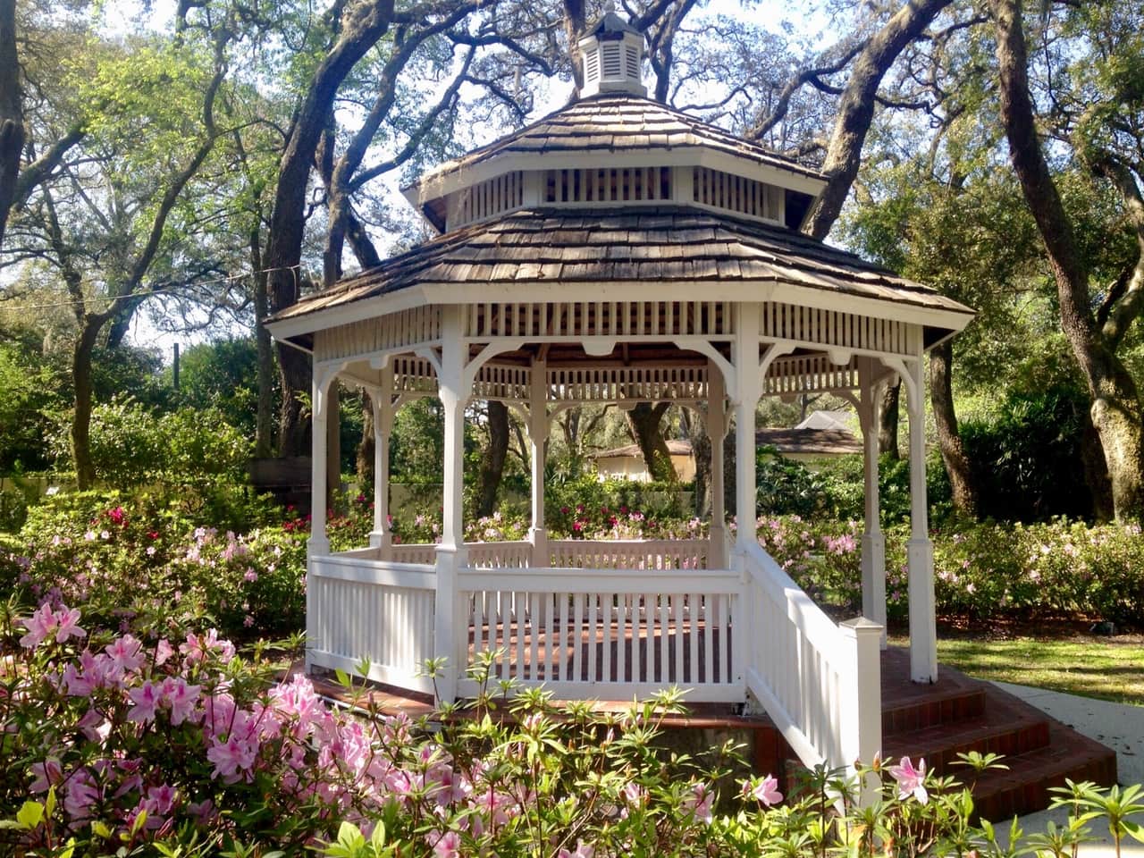 A white wooden gazebo with a shingled roof stands among pink azaleas and oak trees.