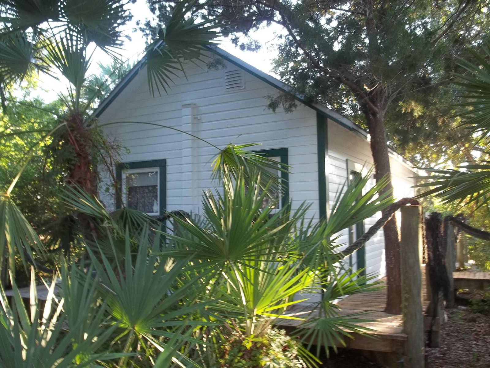 White wooden historic cottage with green trim framed by sabal palms and tall trees.