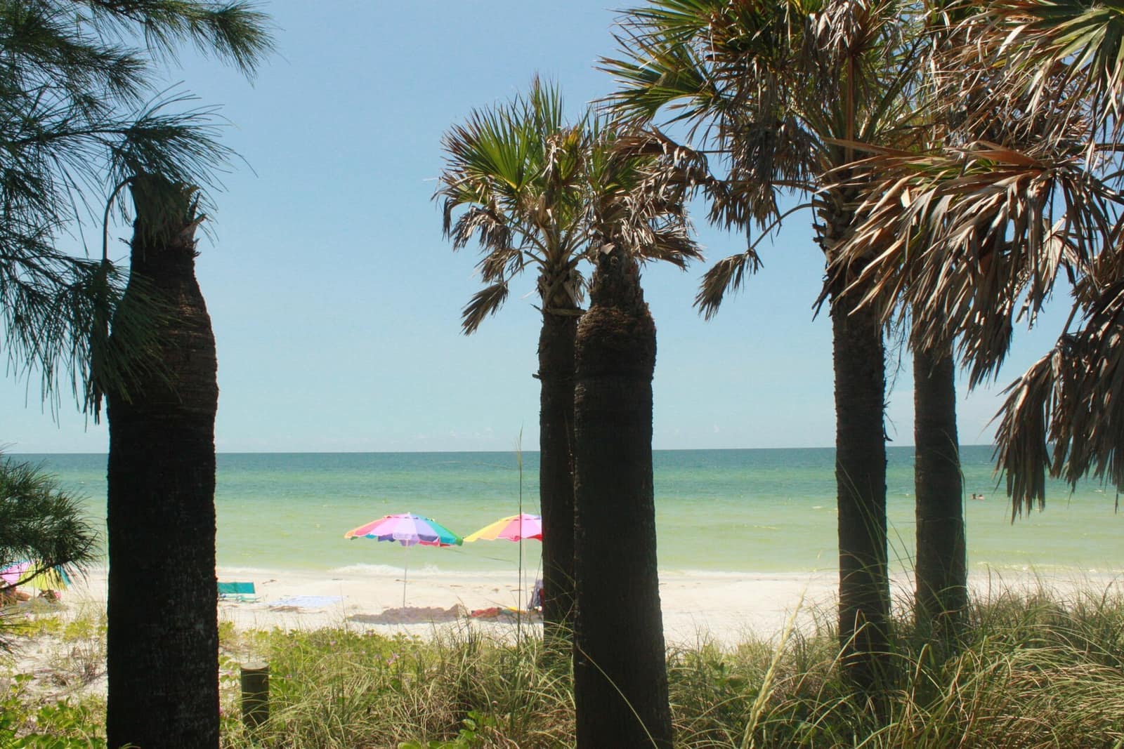 Turquoise sea and pale sand framed by palm trunks, with two colorful umbrellas near the shoreline.