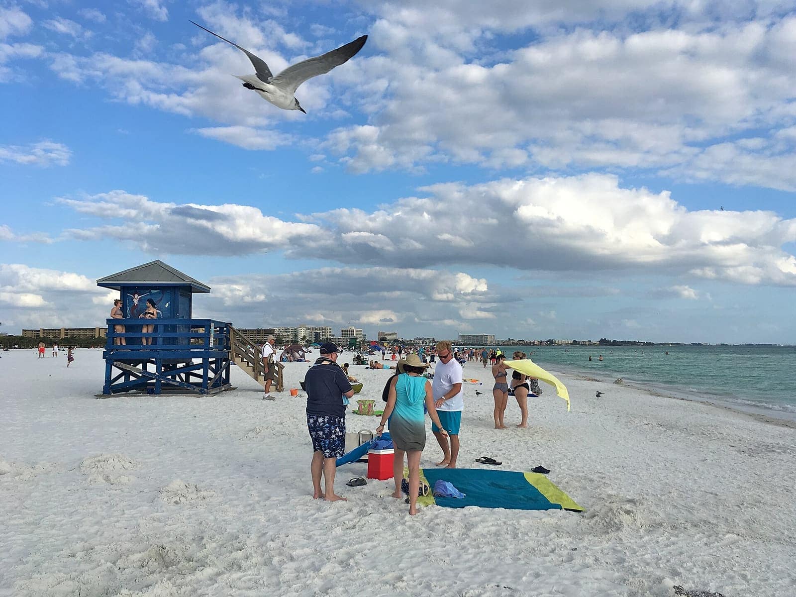 Blue lifeguard tower on white sand with people gathered under a bright sky and a gull overhead.