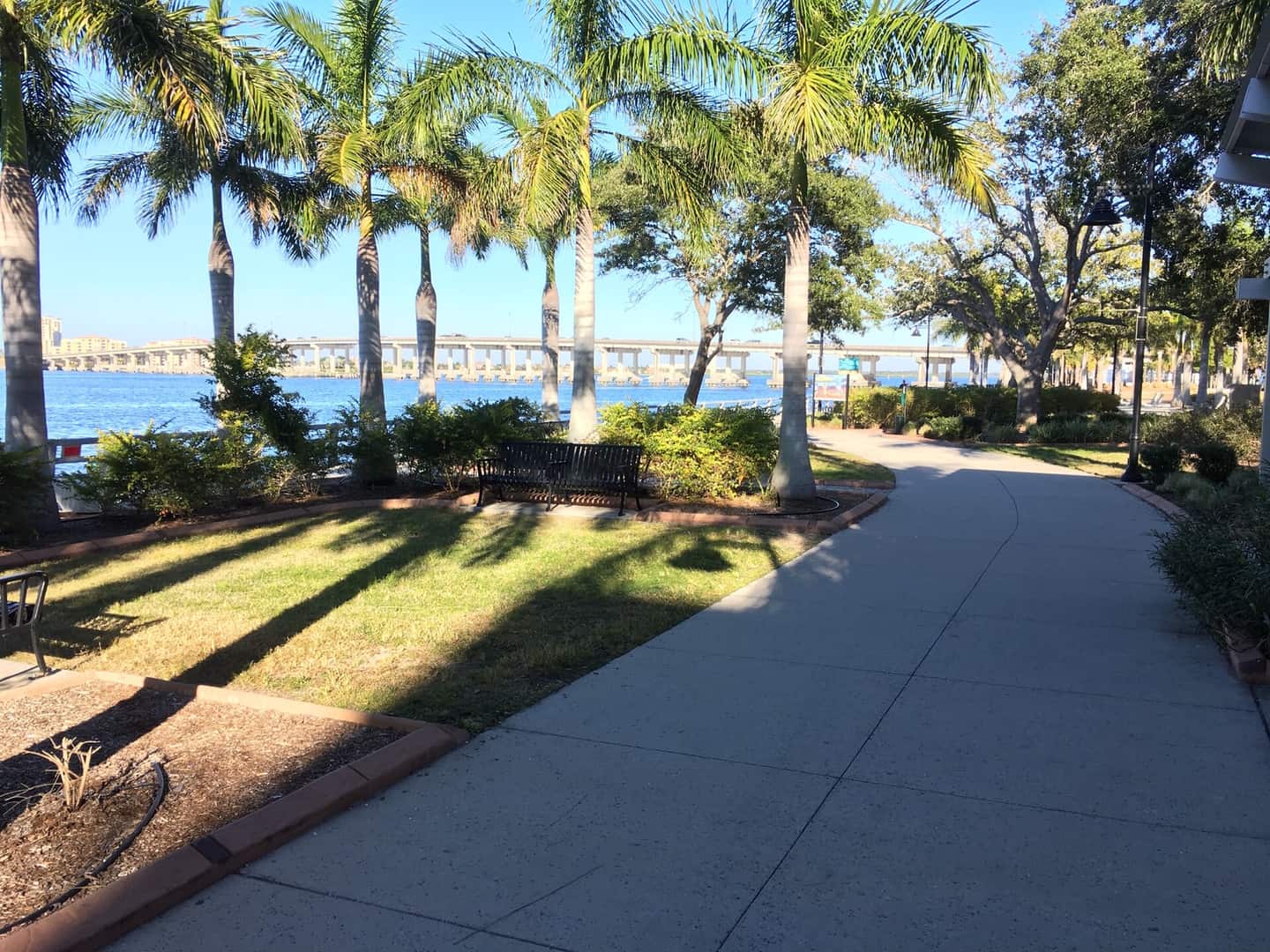 Palm-lined concrete riverwalk path with a bench on grass, with a bridge spanning water in the distance.