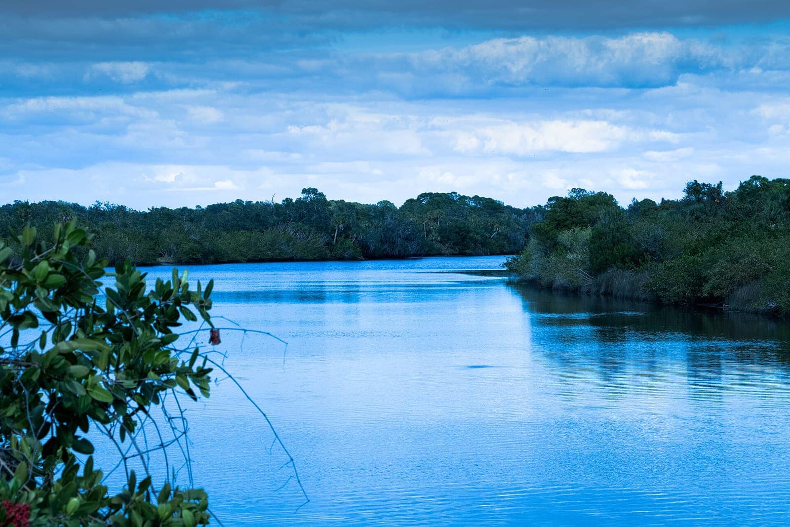 Calm blue river channel lined with green mangrove trees under a partly cloudy blue sky.