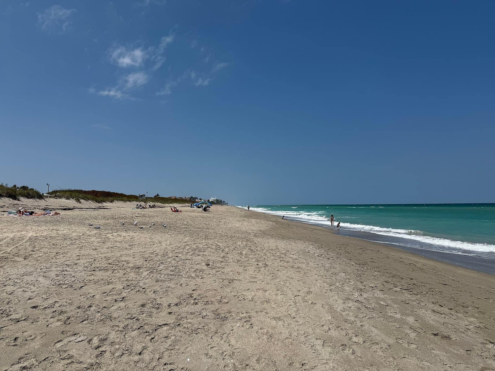 Wide sandy beach under clear blue sky with turquoise surf and small distant people at the shoreline.