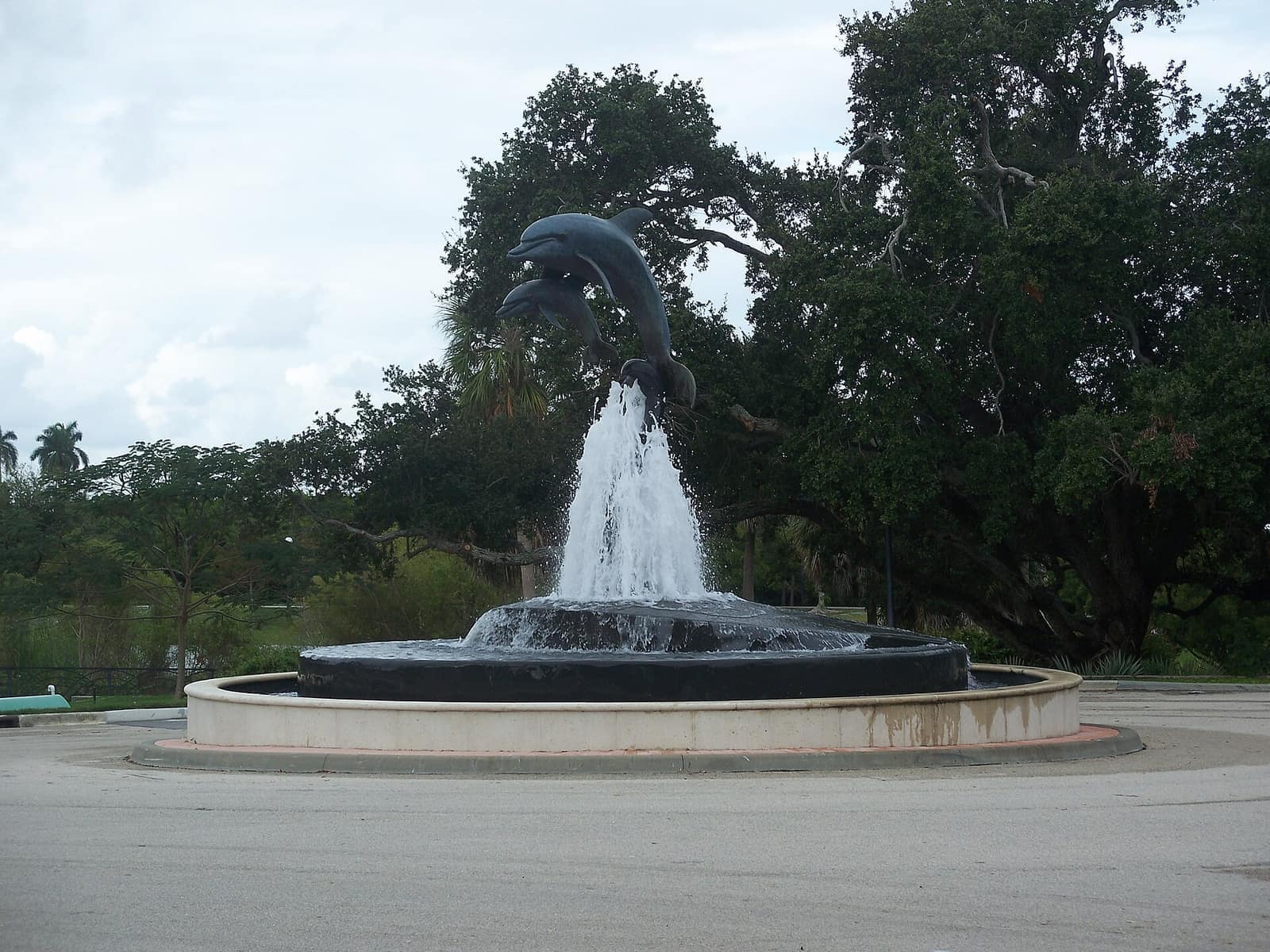 Bronze dolphin fountain sculpture spraying water in a round basin beneath large shade trees under an overcast sky.