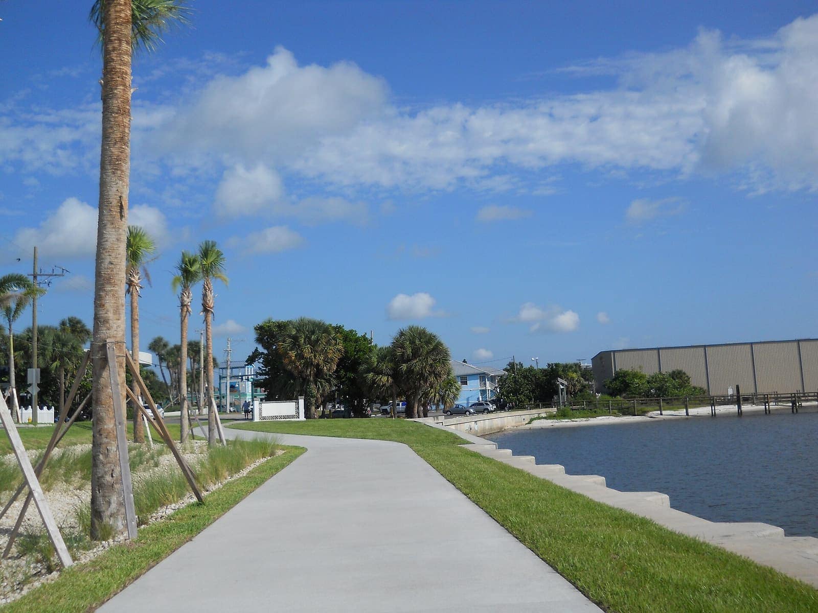 Concrete seawalk path running beside calm water, with young palm trees and a few low buildings in the distance.