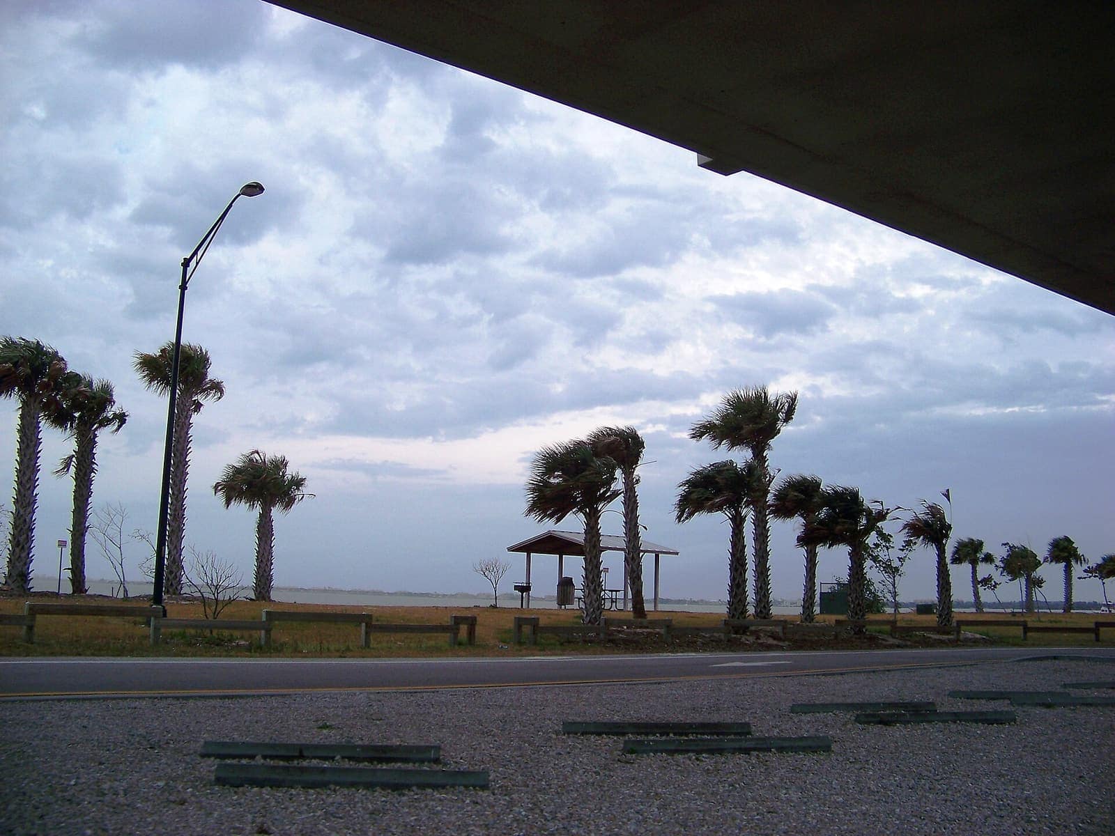 Palm trees line a waterfront park with a picnic pavilion under an overcast sky.