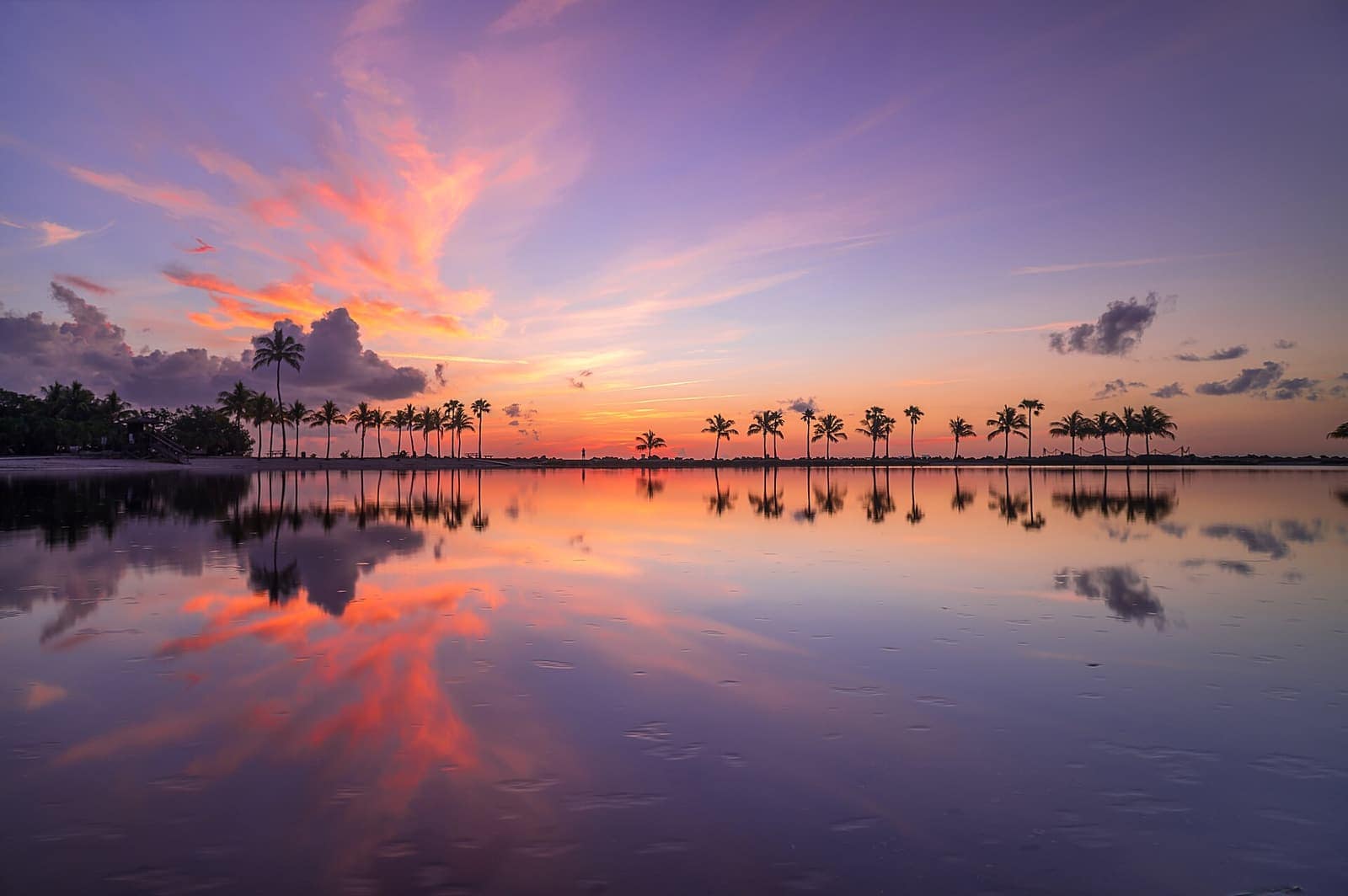 Sunrise over calm water with a row of palm silhouettes reflected under a pink and purple sky.