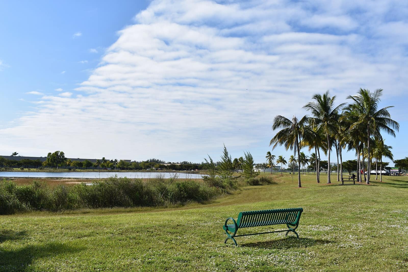 Green metal bench on grass overlooking a calm lake with palm trees and a cloudy blue sky.