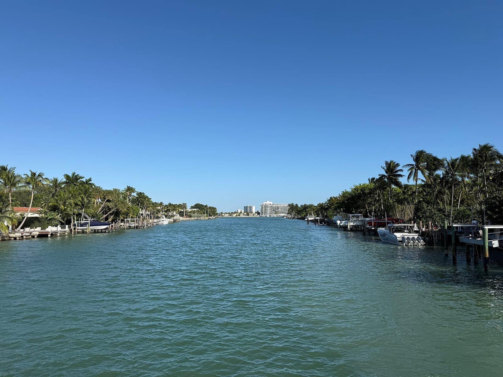Narrow blue canal lined with palm trees and moored motorboats, with high-rise towers in the distance under clear sky.