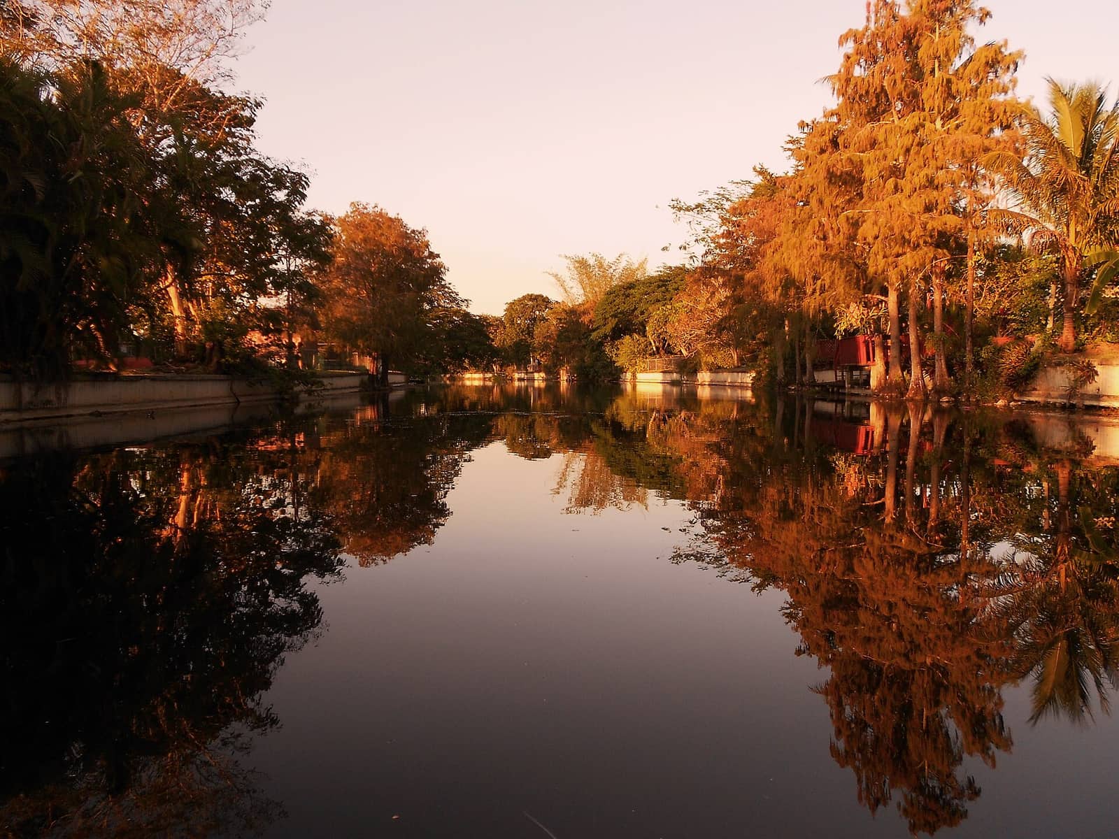 Calm reflective canal lined with orange-lit cypress trees and palms at sunset.