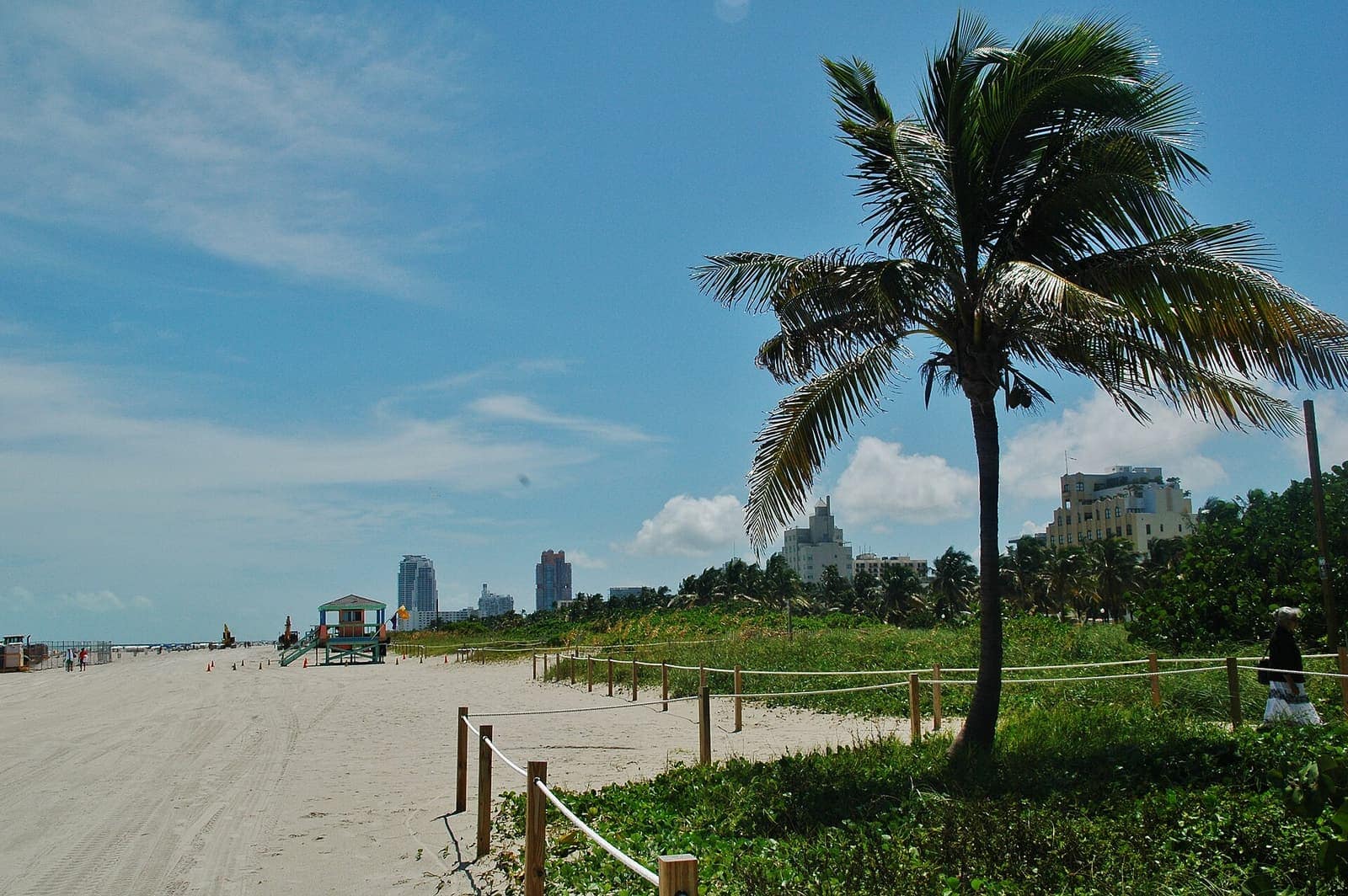 Sandy beach with lifeguard tower, a leaning palm tree, and high-rise buildings in the distance.
