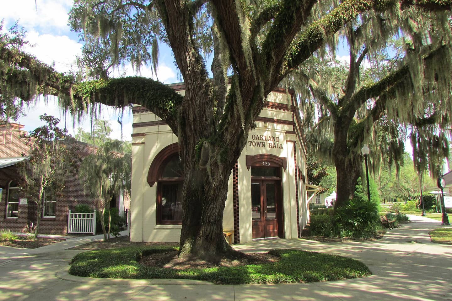 Large oak tree with hanging moss shades the cream town hall and a paved walkway.