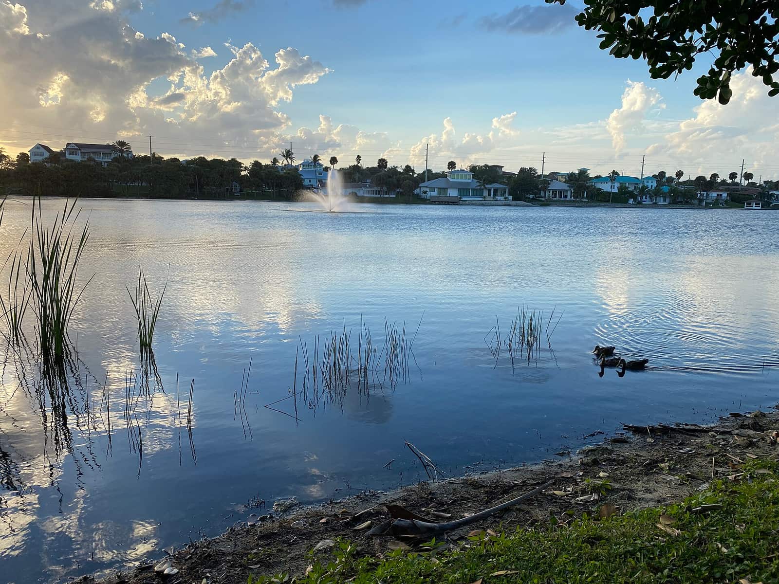 A calm lake reflects a sunset sky with a fountain spraying near houses and palm trees along the shore.