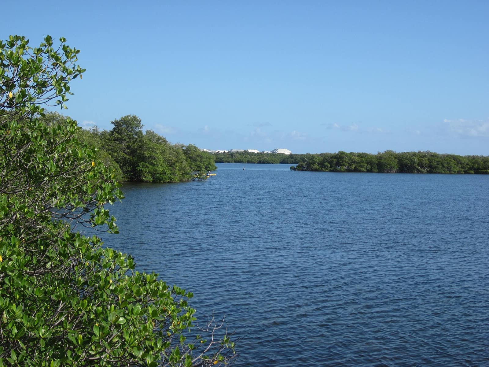 Calm blue lagoon bordered by green mangroves under a clear blue sky.