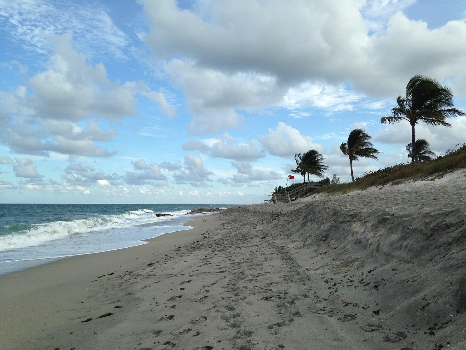 Wide sandy beach with breaking waves, a palm tree and dune on the right.