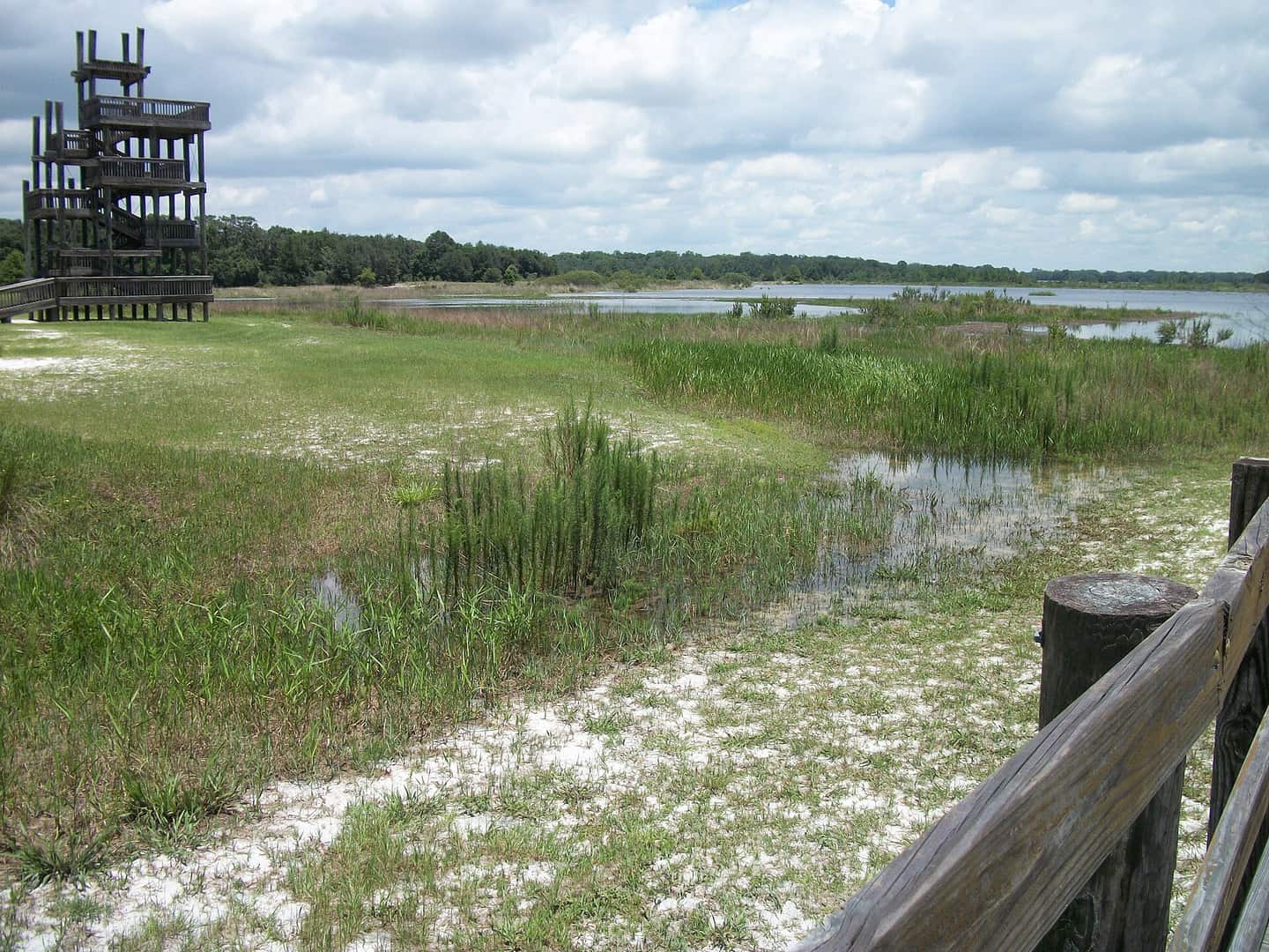 A tall wooden observation tower stands beside a grassy marsh and lake under clouds.