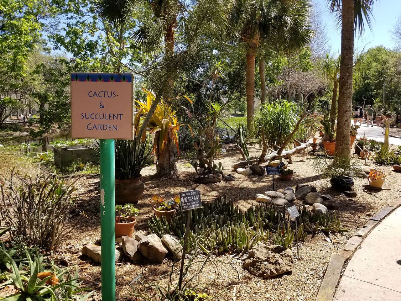 Cactus and succulent beds with a wooden sign reading Cactus and Succulent Garden beside a paved path.