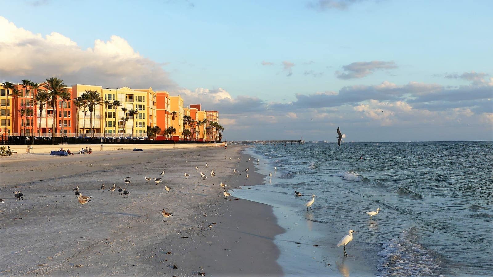 Sandy beach beside colorful beachfront condominiums at warm sunset light, with gulls and waves along the shoreline.