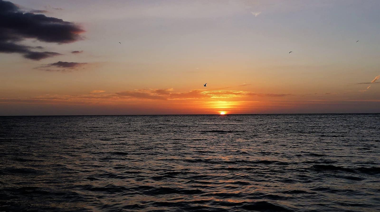 Setting sun above a calm, dark water horizon with scattered clouds and a few distant birds.
