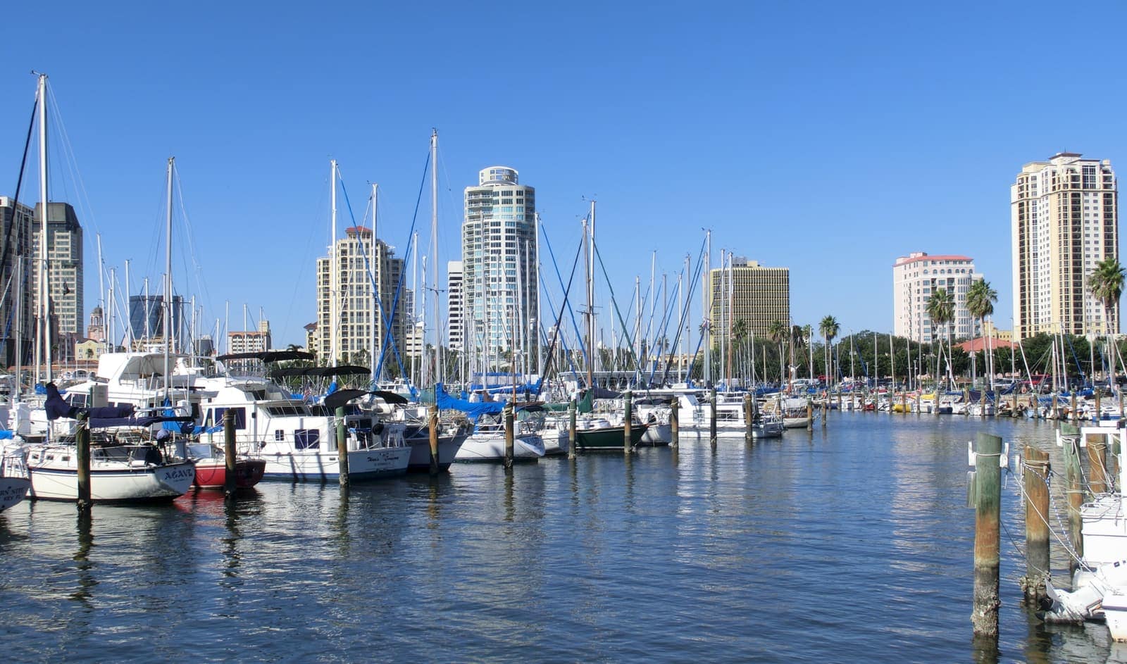 Sailboats and yachts docked in a marina with tall condo towers rising along the waterfront under blue sky.