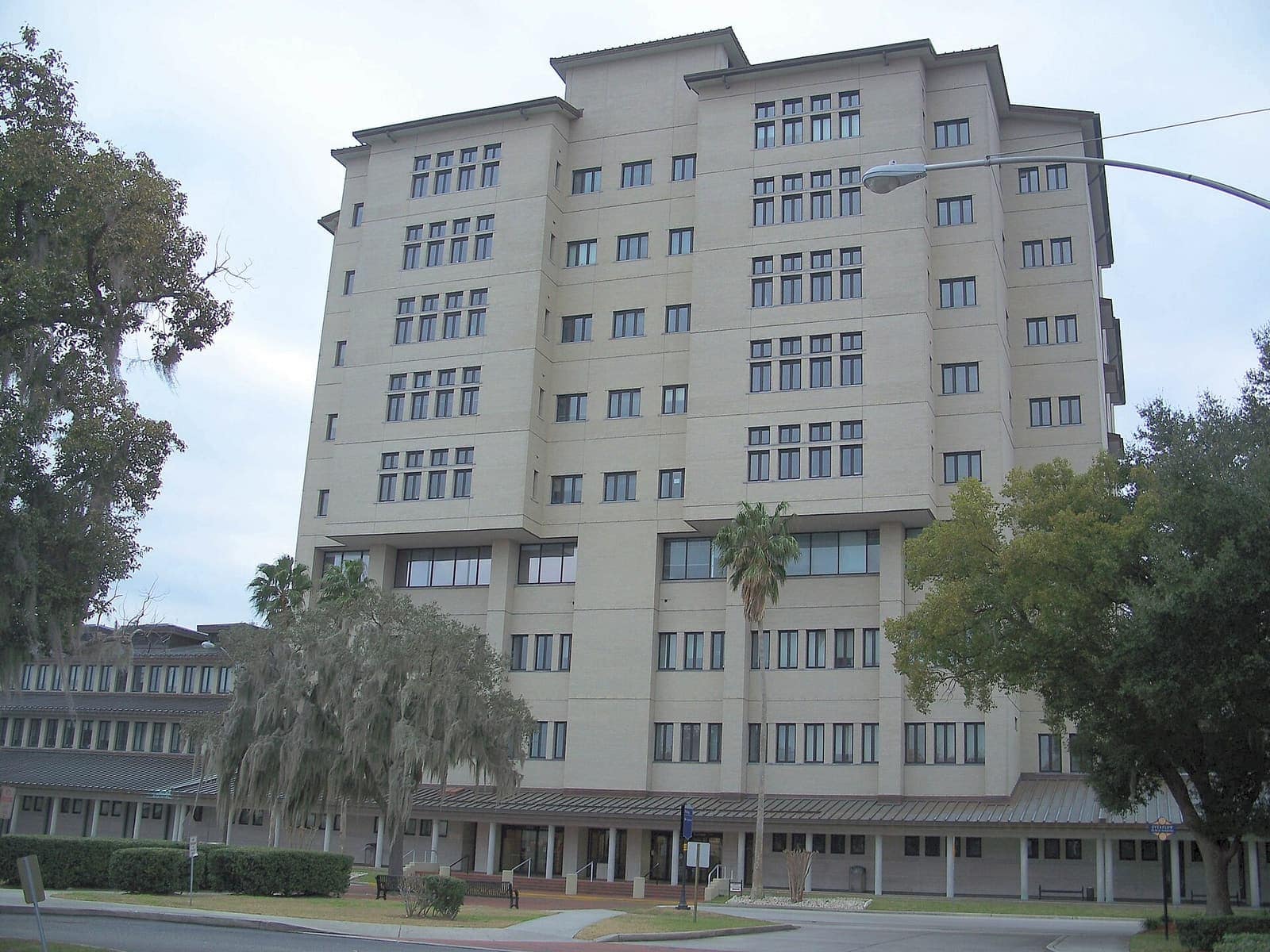 Tall beige multi-storey courthouse building with many windows, palm trees and a spreading oak nearby.