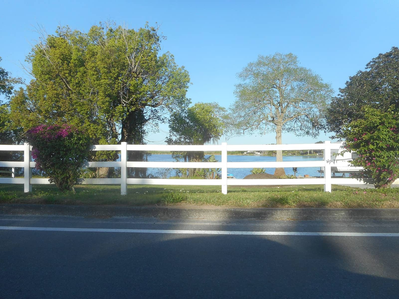 White wooden fence in front of trees and a calm lake under a clear blue sky, with bougainvillea at the edges.
