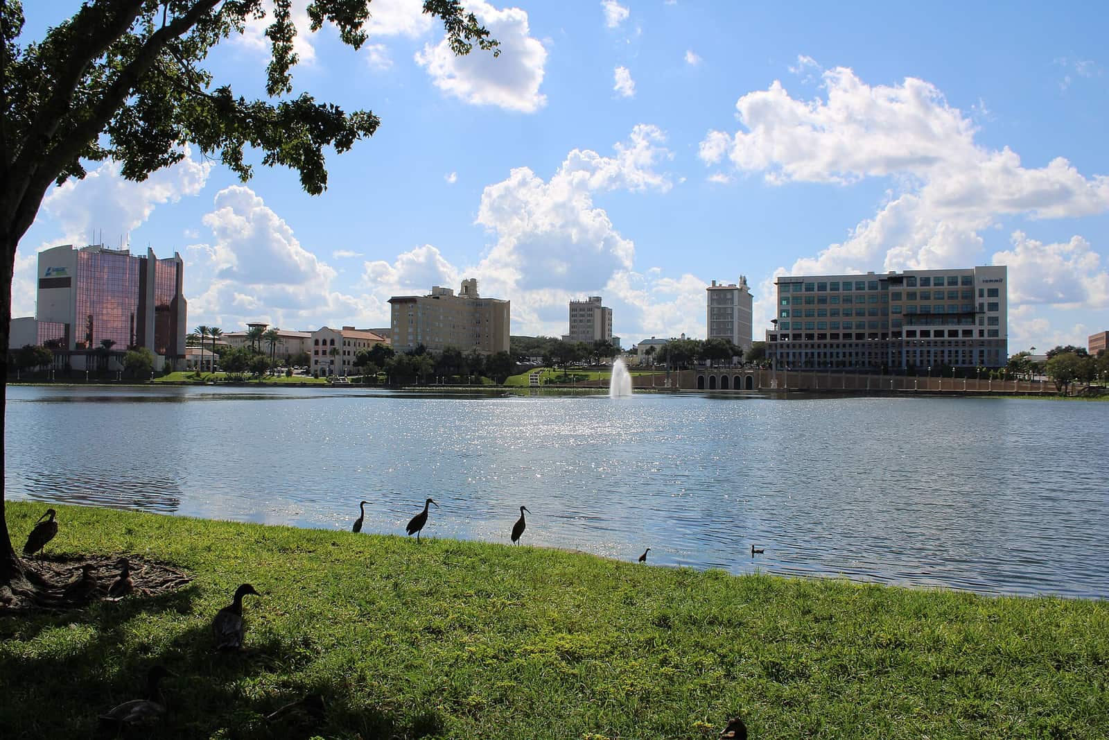 Lake with a fountain and downtown office towers across the water, with birds on the grassy shore under clouds.