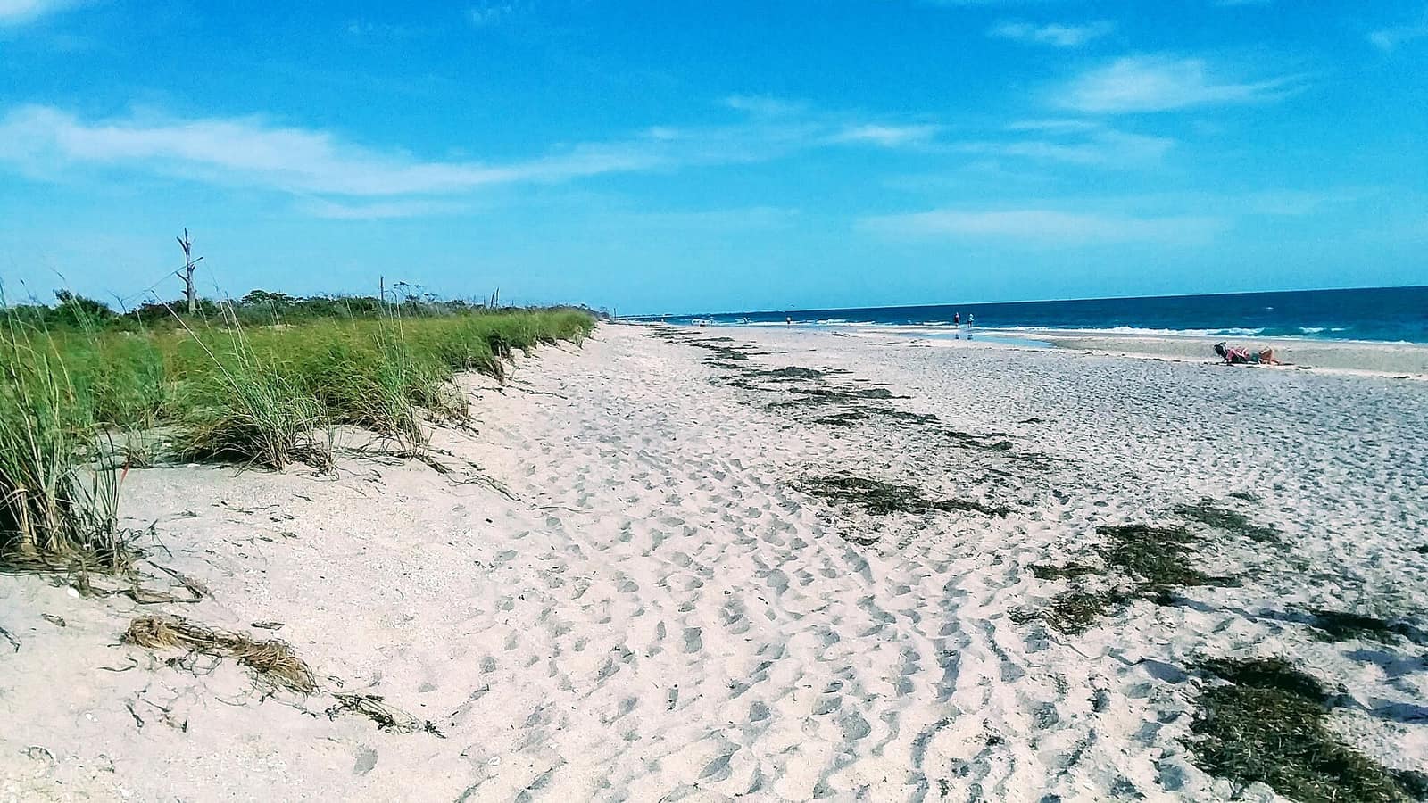 Sandy Gulf beach with footprints, sea oats, blue sky, and a few distant people.