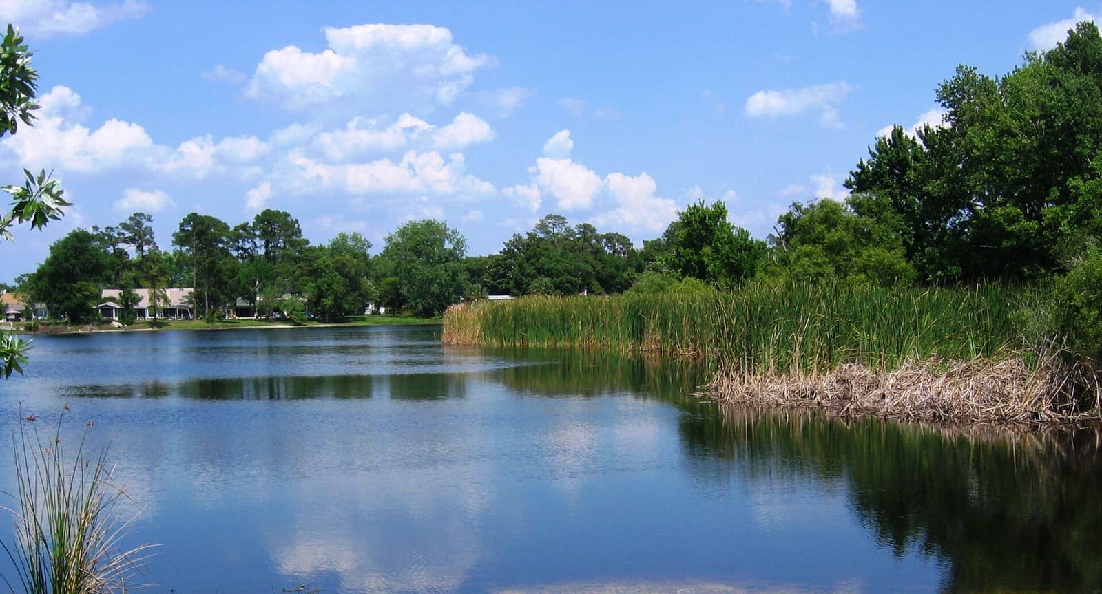 Calm lake with reflected clouds, green reeds along the shore, and houses and trees on the far bank.