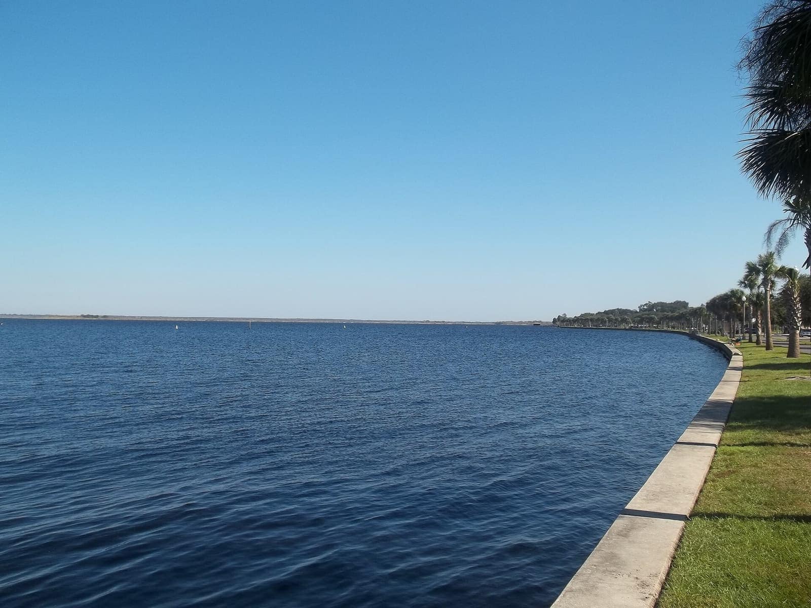 Calm blue lake beside a grassy shoreline with a curving concrete edge and palm trees on the right.