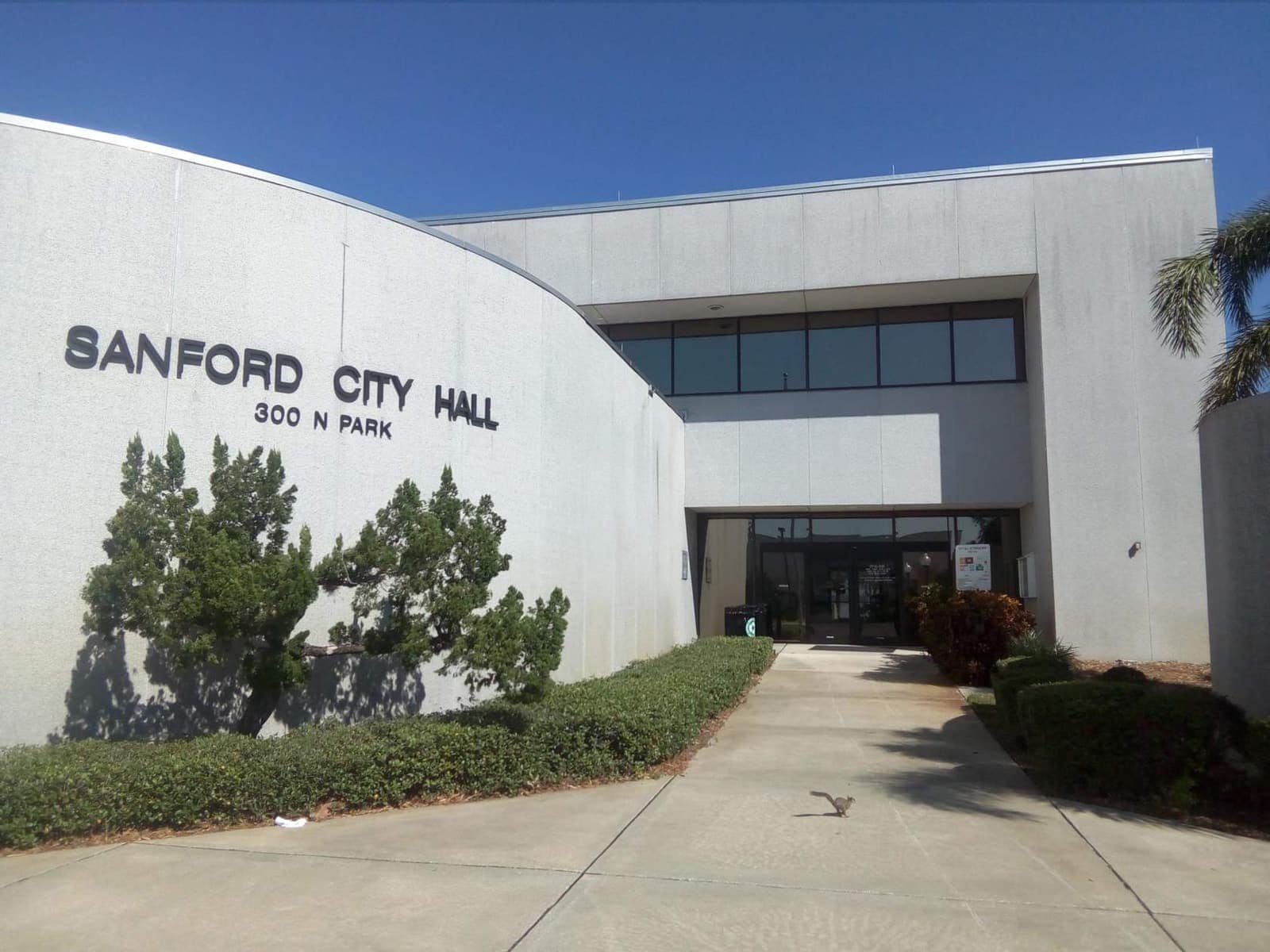 Concrete city hall entrance with a curved wall, shrubs and a walkway under a clear blue sky.