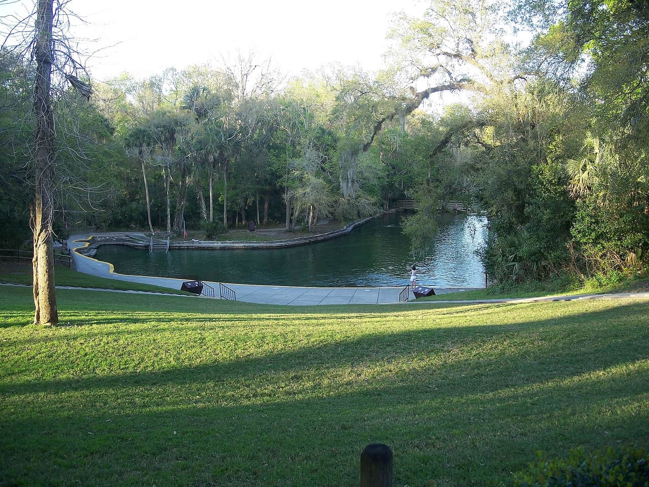 Concrete walkway curves along a calm spring pool bordered by oak and palm trees.